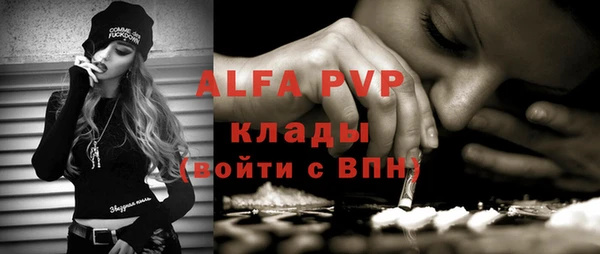 молекула духа Арсеньев