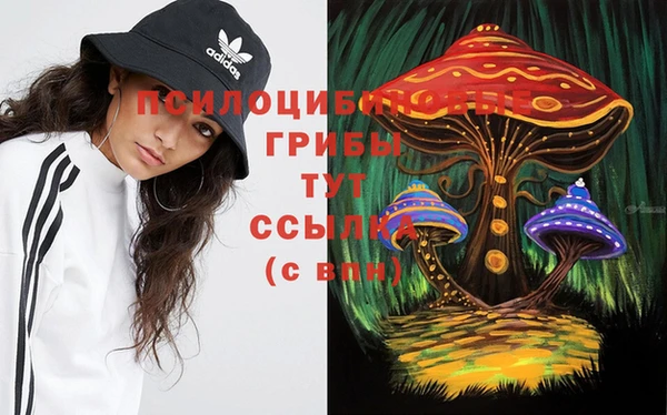 эйфоретик Армянск